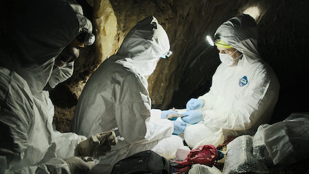 Veja Não nos podemos esconder. Episódio 3 da Temporada 1.