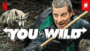 You vs. Wild