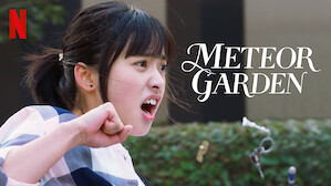 Meteor Garden
