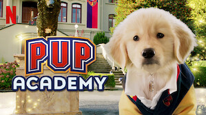 Pup Academy