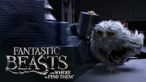 Fantastic Beasts and Where To Find Them