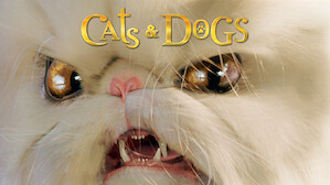 Cats & Dogs