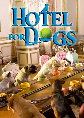 Hotel for Dogs